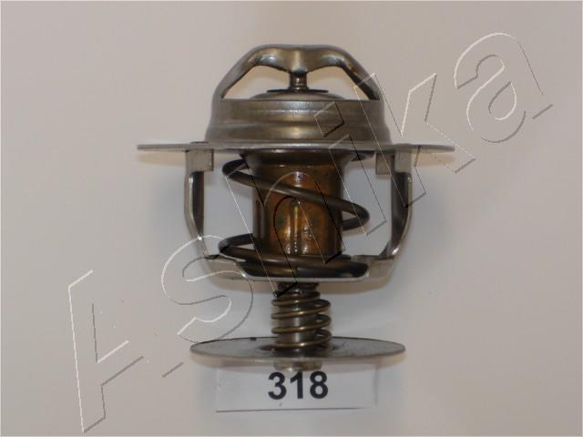 4X4 ESTANFI EST-38-03-318 - Thermostat d'eau cwaw.fr