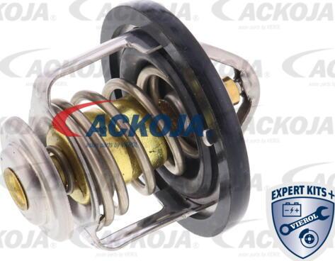 ACKOJA A55-99-0001 - Thermostat d'eau cwaw.fr