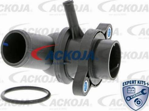 ACKOJA A51-99-0004 - Thermostat d'eau cwaw.fr