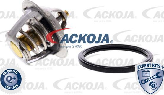 ACKOJA A53-99-0002 - Thermostat d'eau cwaw.fr