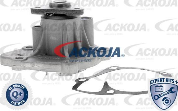 ACKOJA A53-50003 - Pompe à eau cwaw.fr