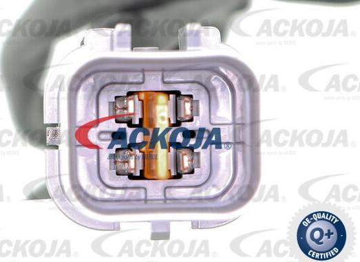 ACKOJA A53-76-0012 - Sonde lambda cwaw.fr