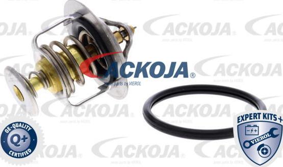 ACKOJA A52-99-0015 - Thermostat d'eau cwaw.fr