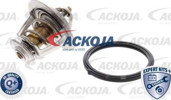 ACKOJA A52-99-0010 - Thermostat d'eau cwaw.fr