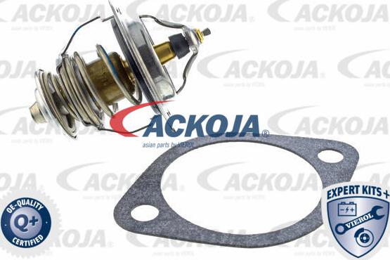 ACKOJA A52-99-0025 - Thermostat d'eau cwaw.fr