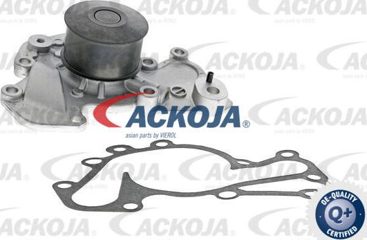 ACKOJA A52-50002 - Pompe à eau cwaw.fr