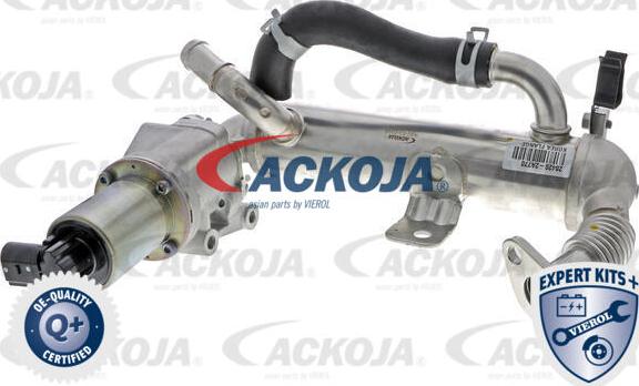 ACKOJA A52-63-0018 - Vanne EGR cwaw.fr