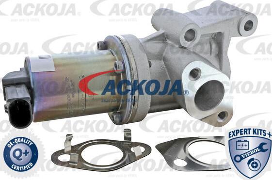 ACKOJA A52-63-0020 - Vanne EGR cwaw.fr