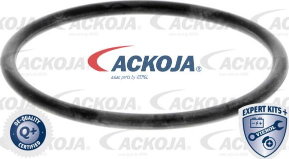 ACKOJA A52-0709 - Pompe à eau cwaw.fr