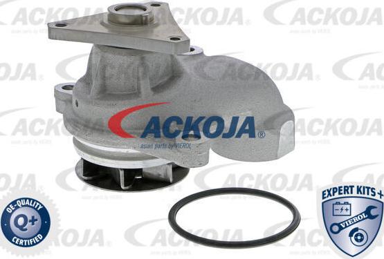 ACKOJA A52-0709 - Pompe à eau cwaw.fr