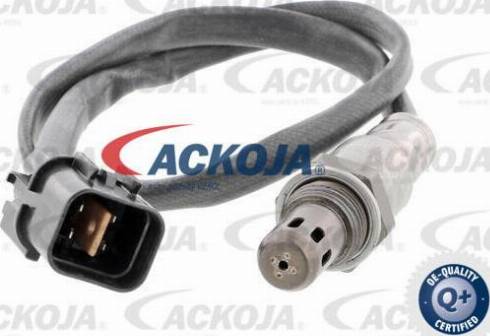 ACKOJA A52-76-0019 - Sonde lambda cwaw.fr