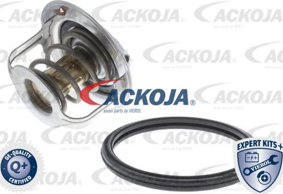 ACKOJA A64-99-0009 - Thermostat d'eau cwaw.fr