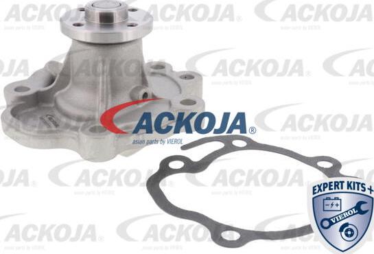 ACKOJA A64-50006 - Pompe à eau cwaw.fr