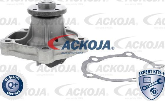 ACKOJA A64-50001 - Pompe à eau cwaw.fr