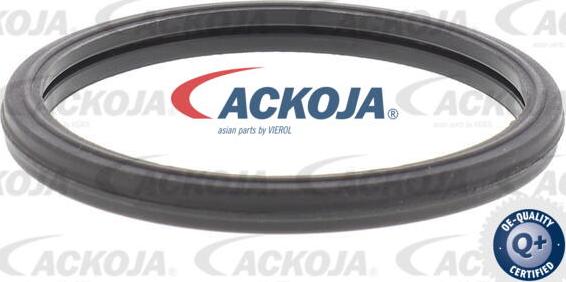 ACKOJA A63-99-0004 - Thermostat d'eau cwaw.fr