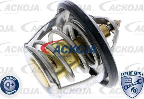 ACKOJA A63-99-0001 - Thermostat d'eau cwaw.fr