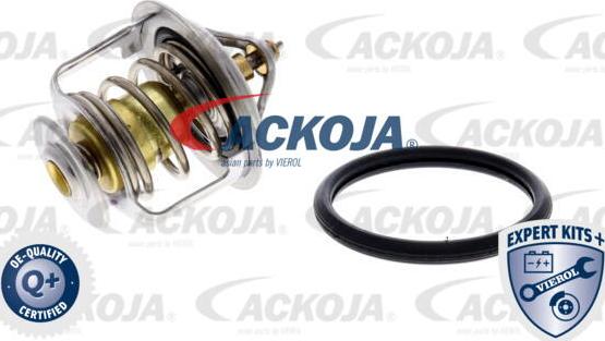 ACKOJA A38-99-0006 - Thermostat d'eau cwaw.fr