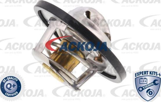 ACKOJA A38-99-0008 - Thermostat d'eau cwaw.fr