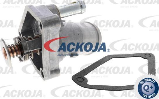 ACKOJA A38-99-0007 - Thermostat d'eau cwaw.fr