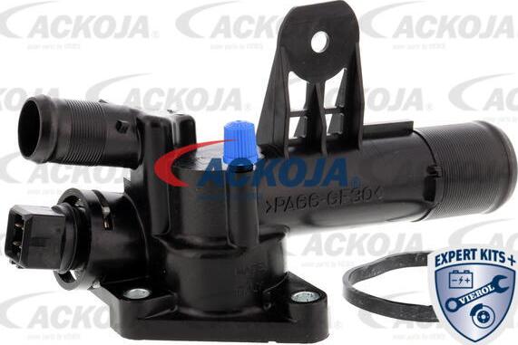 ACKOJA A38-99-0012 - Thermostat d'eau cwaw.fr