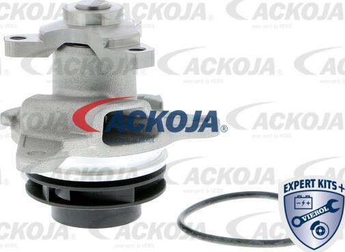 ACKOJA A38-50010 - Pompe à eau cwaw.fr