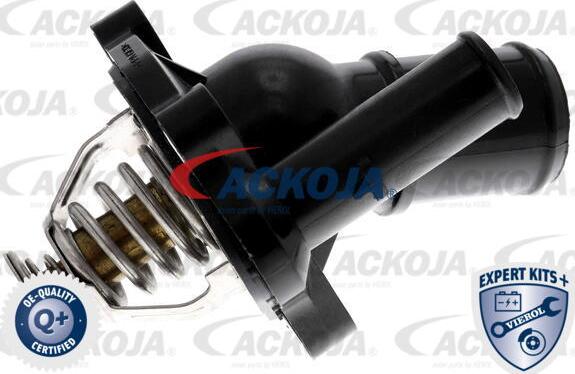 ACKOJA A32-99-0005 - Thermostat d'eau cwaw.fr