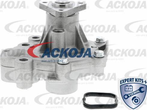 ACKOJA A32-50014 - Pompe à eau cwaw.fr