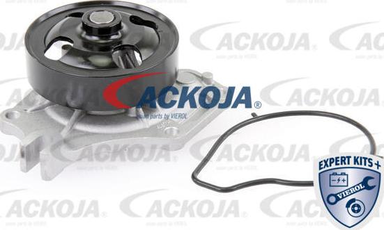 ACKOJA A32-50011 - Pompe à eau cwaw.fr