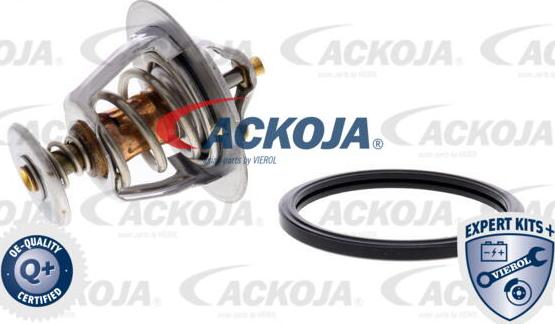 ACKOJA A37-99-0005 - Thermostat d'eau cwaw.fr