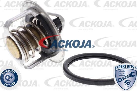 ACKOJA A37-99-0006 - Thermostat d'eau cwaw.fr