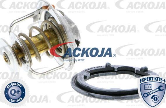 ACKOJA A26-99-0009 - Thermostat d'eau cwaw.fr