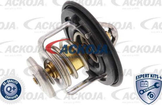 ACKOJA A26-99-0001 - Thermostat d'eau cwaw.fr