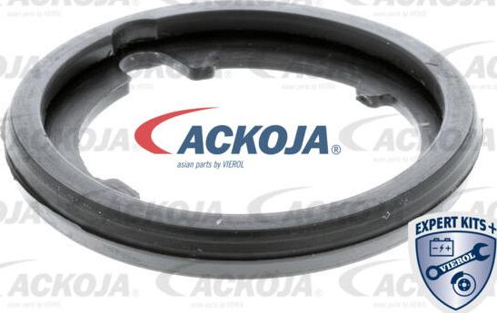 ACKOJA A26-99-0008 - Thermostat d'eau cwaw.fr