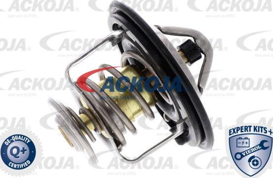 ACKOJA A26-99-0010 - Thermostat d'eau cwaw.fr