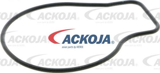 ACKOJA A26-50006 - Pompe à eau cwaw.fr