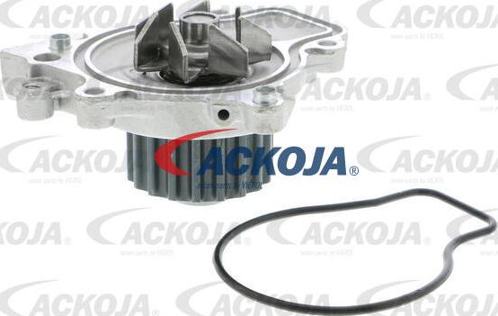 ACKOJA A26-50006 - Pompe à eau cwaw.fr