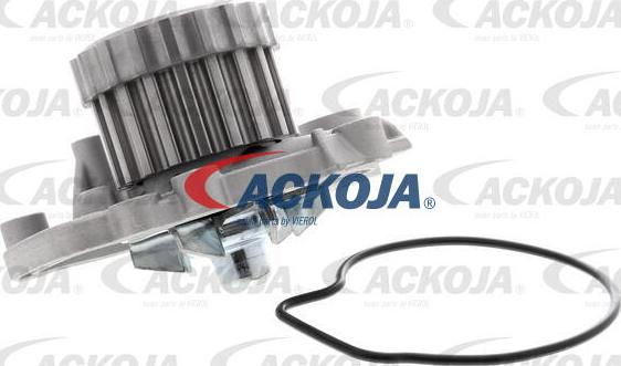 ACKOJA A26-50001 - Pompe à eau cwaw.fr