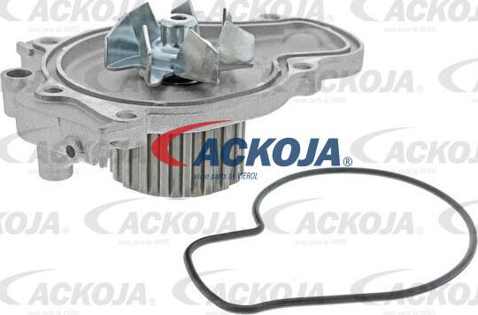 ACKOJA A26-50014 - Pompe à eau cwaw.fr