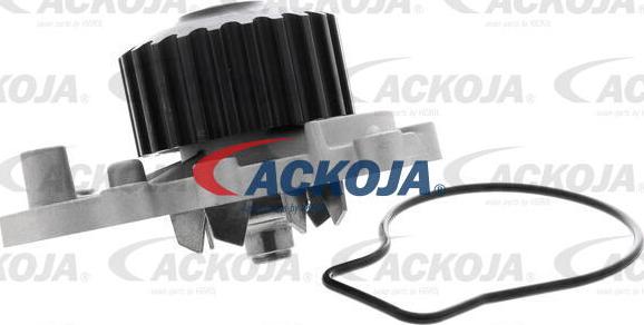 ACKOJA A26-50011 - Pompe à eau cwaw.fr