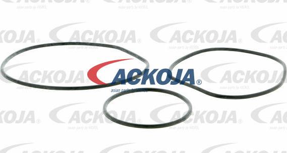 ACKOJA A26-50013 - Pompe à eau cwaw.fr