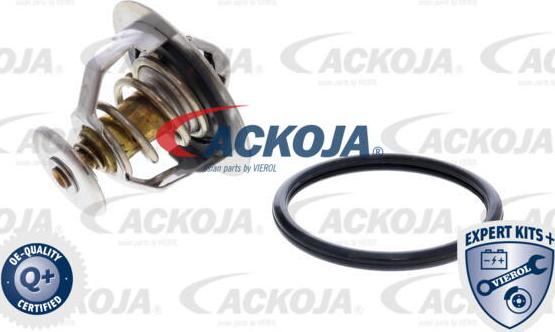 ACKOJA A70-99-0003 - Thermostat d'eau cwaw.fr