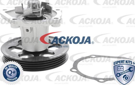 ACKOJA A70-50009 - Pompe à eau cwaw.fr