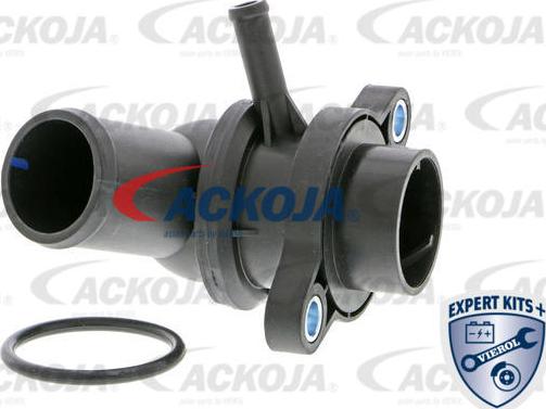 ACKOJAP A51-99-0004 - Thermostat d'eau cwaw.fr