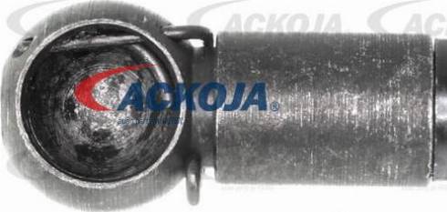 ACKOJAP A51-99-0001 - Thermostat d'eau cwaw.fr