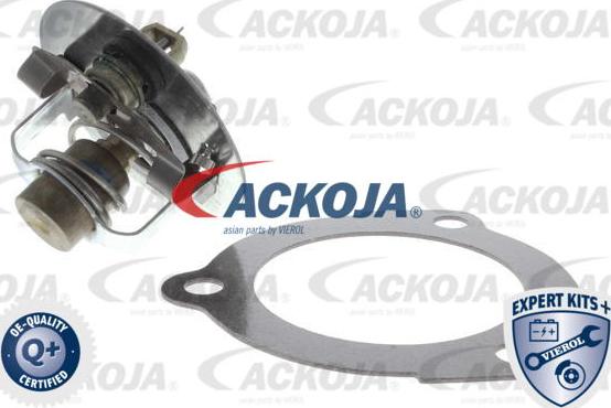 ACKOJAP A53-99-0008 - Thermostat d'eau cwaw.fr