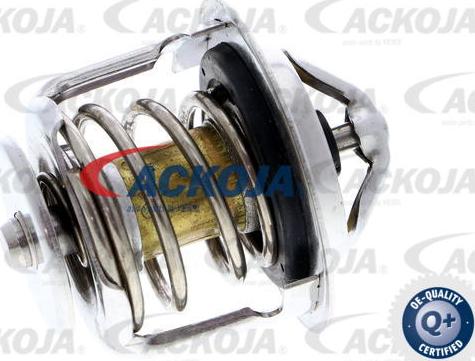 ACKOJAP A52-99-0002 - Thermostat d'eau cwaw.fr