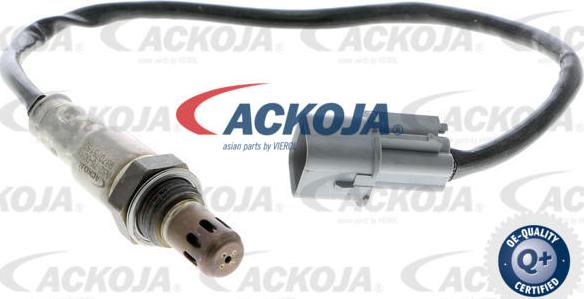 ACKOJAP A52-76-0016 - Sonde lambda cwaw.fr