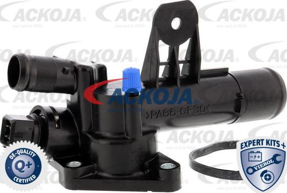 ACKOJAP A38-99-0012 - Thermostat d'eau cwaw.fr