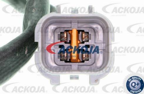 ACKOJAP A38-40008 - Disque de frein cwaw.fr