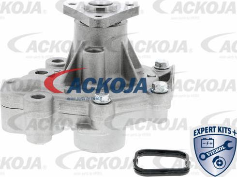 ACKOJAP A32-50014 - Pompe à eau cwaw.fr